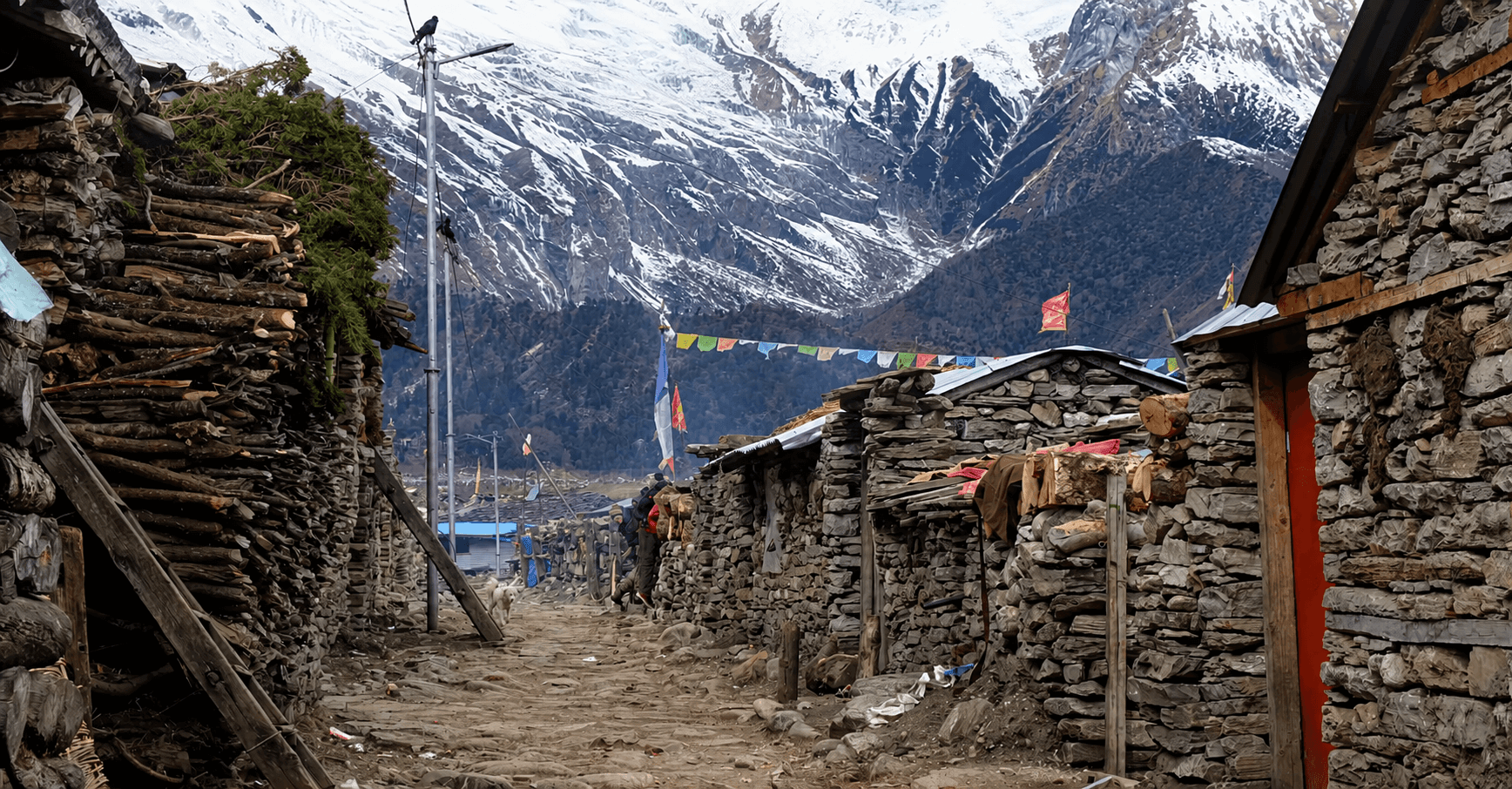 Traditional stone houses in Samagaon village on the Manaslu Circuit Trek with Thrill Himalaya Treks.