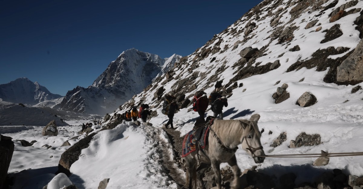 Pack horses walking along a snow-covered mountain trail on the Everest Base Camp trekking route
